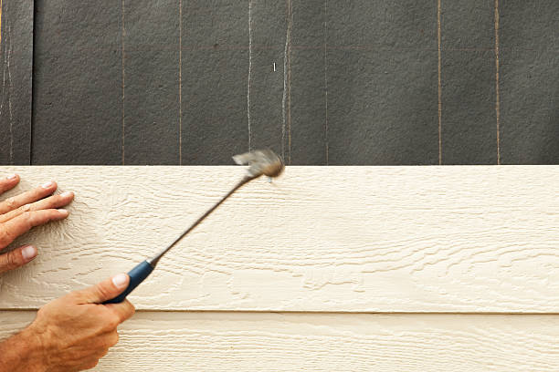 Best Brick Veneer Siding  in Colon, MI