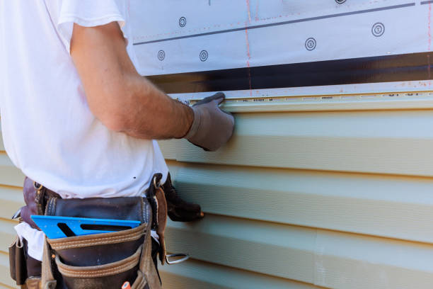 Best Vinyl Siding Installation  in Colon, MI